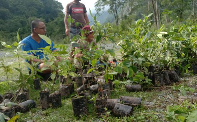 Transportation of siblings 