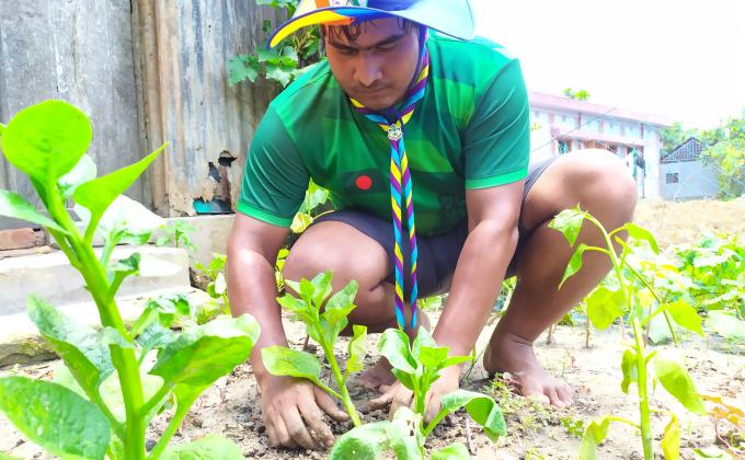 Tree Plantation 