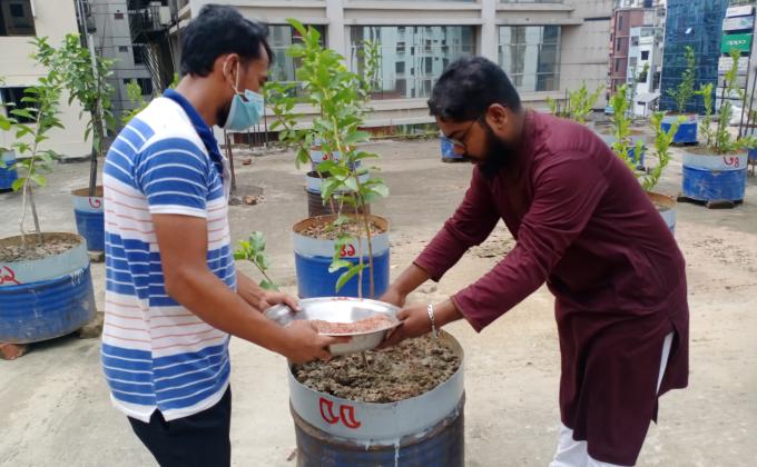 বৃক্ষ রোপণ কর্মসূচি 