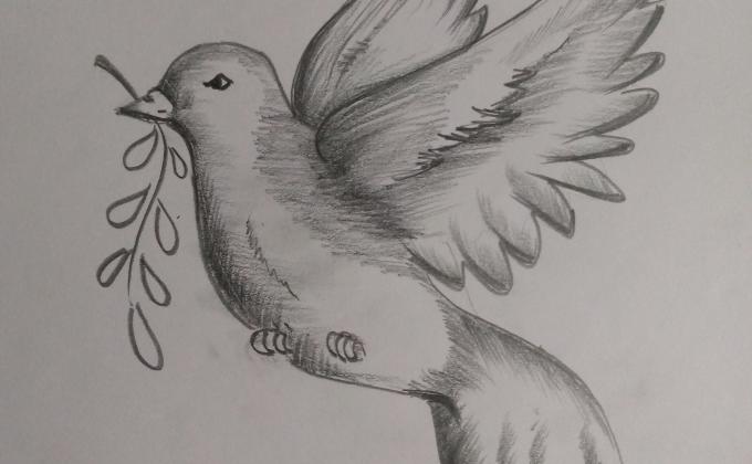 #messenger of peace #BSG drawing