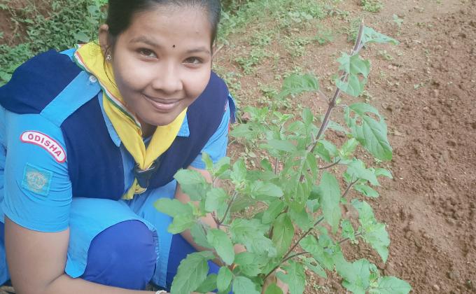 Activity 8.9(plant a tree)