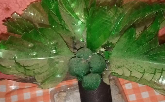 প্লাস্টিক টাইড টার্নার চ্যালেঞ্জ ব্যাজ