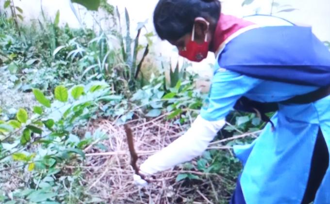 PLANT A TREE PLANT A HOPE