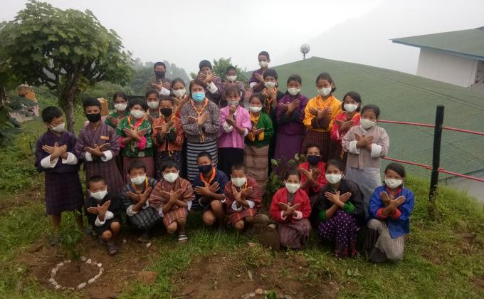 Tree plantation 