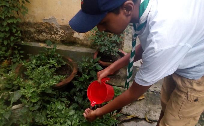 Gardening