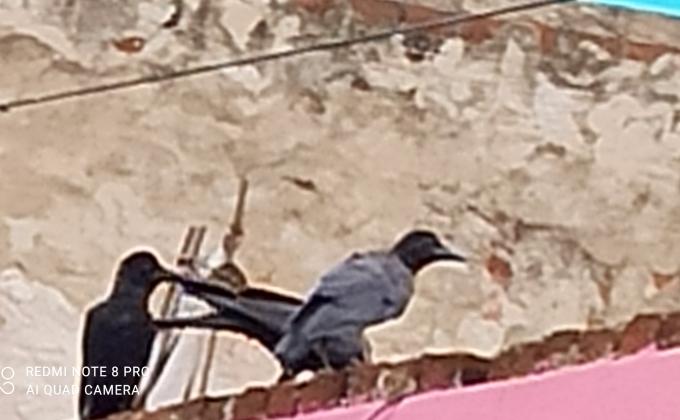 SANKALP 2.0 activity 6