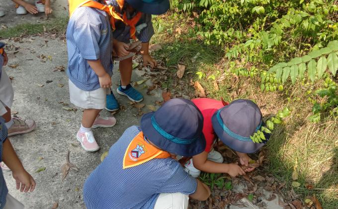 สำรวจสิ่งแวดล้อมและเก็บขยะ