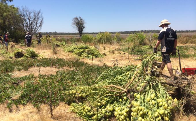 Rovers Provide Service as Part of Moot