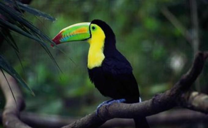 Heart& Minds..... Information for change