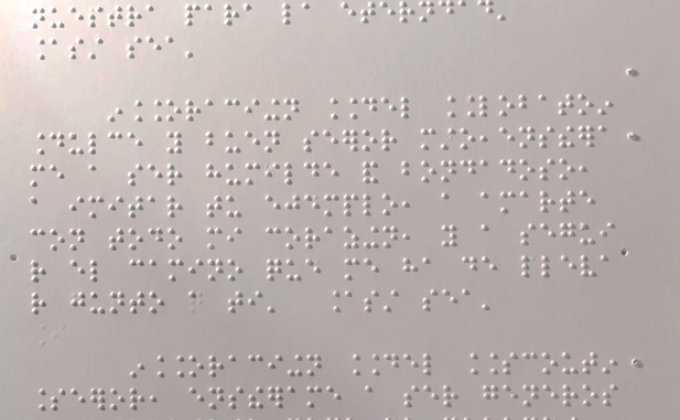 SIN PELOS EN LA MANO