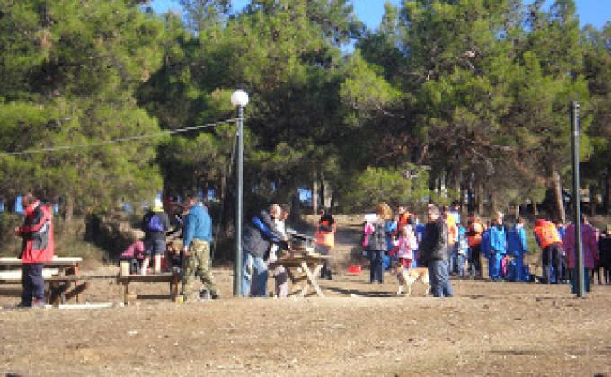  Tree Planting in Grove