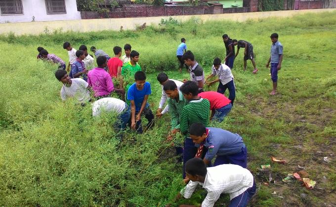cleaning of garden