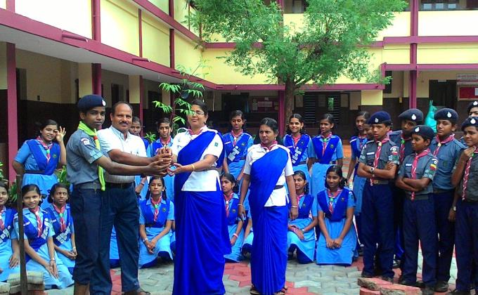 environmental day celebrations by scouts and guides