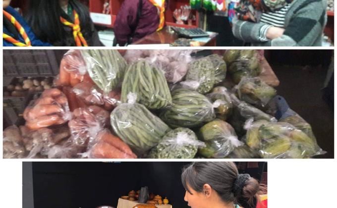 Advocacy programme on plastic