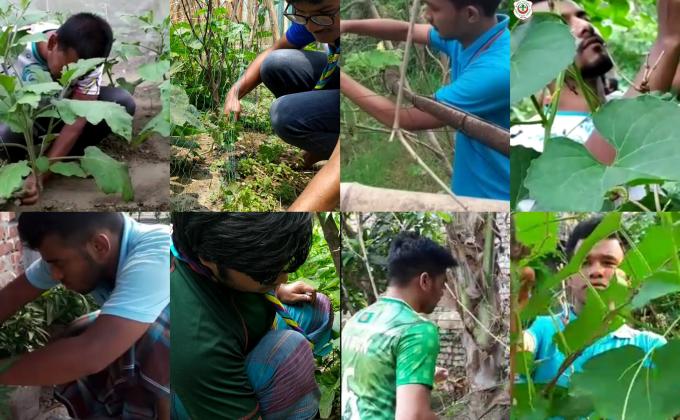 Cultivating vegetables besides home "Know Thyself Open Scout Group Dhaka" rover scouts