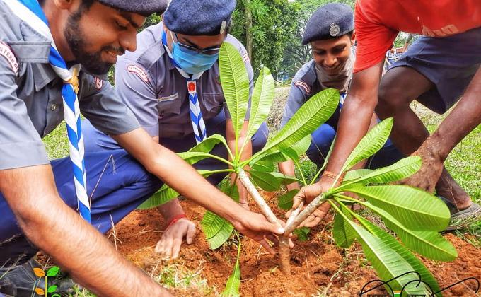 TREE PLANTATION (GREEN CITY)