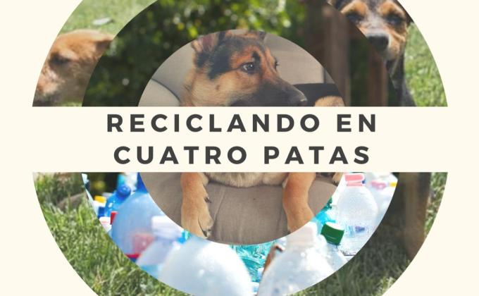 Reciclando en Cuatro Patas