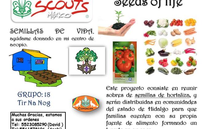 seeds of life semillas de vida