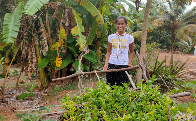 Challenge B - Go organic