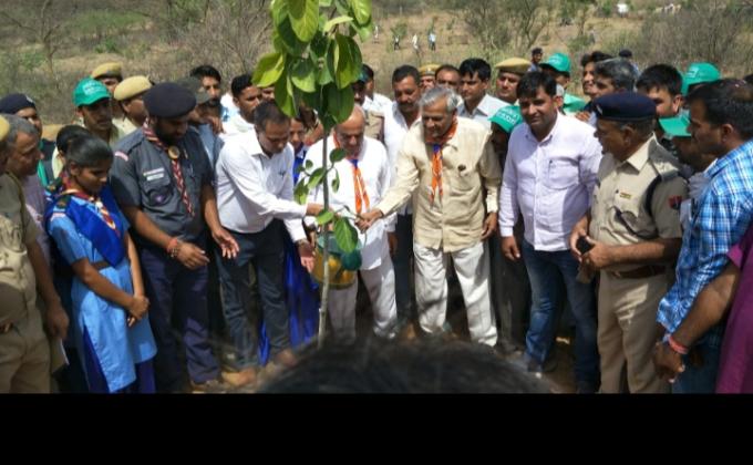 पर्यावरण दिवस पर पौधरोपण किया गया।