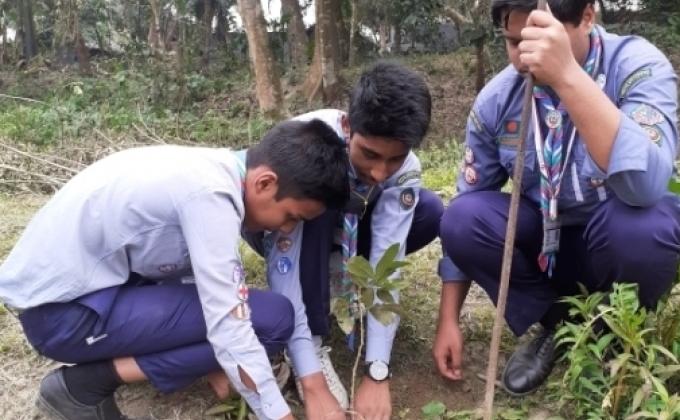 বৃক্ষরোপন অভিযান

