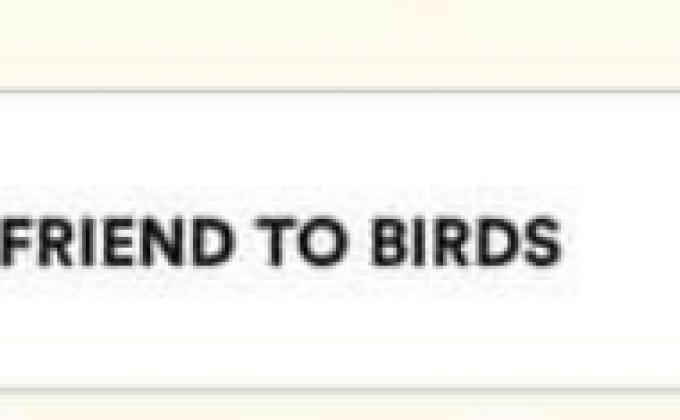 Sankalp project, Activity-6(FRIEND TO BIRD)