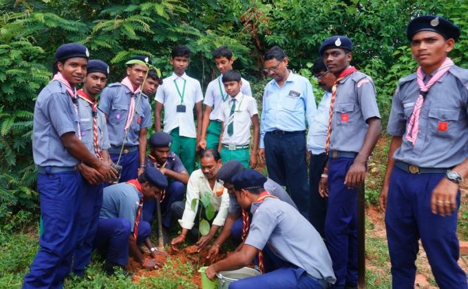 Tree Plantation