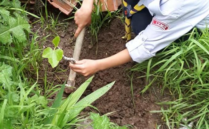 CAP : activity 05 / 10 : " PLANT"