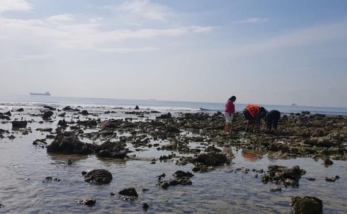 Diversidad de fitoplancton en zona costera del puerto de Veracruz