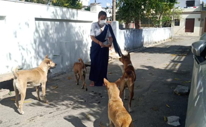 Covid - 19 Help Chitorgarh