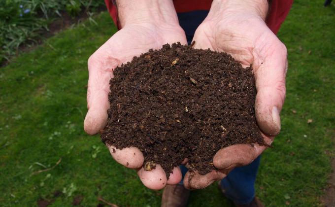 Proyecto CompostCali