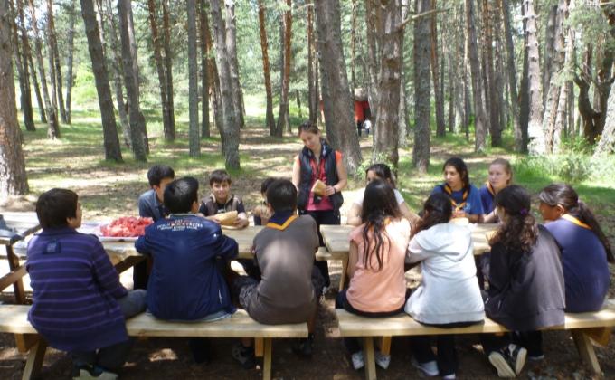 NUTRITION CHALLENGE BADGE FAO – WAGGGS – WHO – WOSM