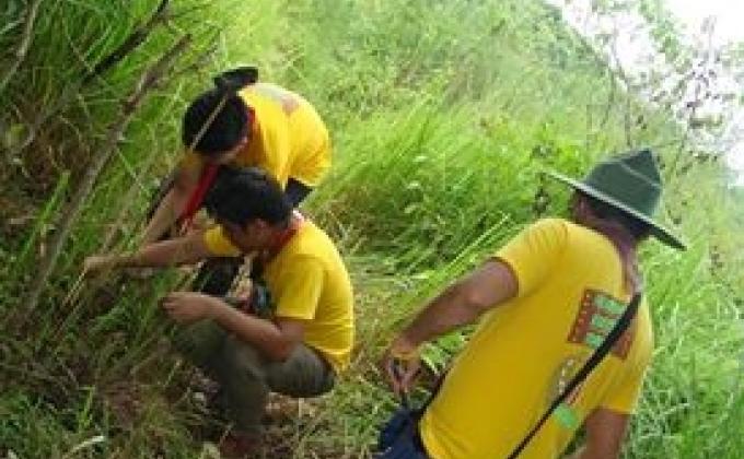 BRIGHTON IN ACTION!  (TREE PLANTING)