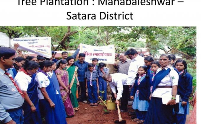 Tree Plantation