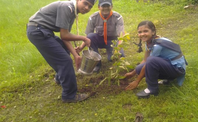 Tree Plantation on INDEPENDENCE DAY