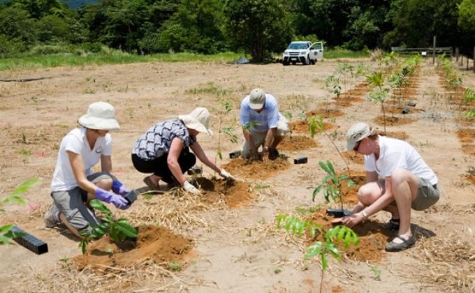 Planting many kinds of Trees  in  Cagayan de Oro , Philippines  to avoid flashfloods