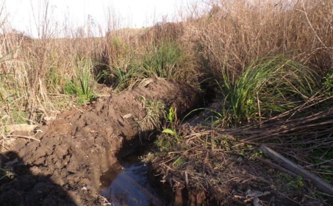 Servicio Ribera Norte