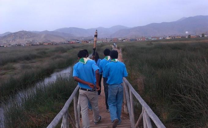 Conservación de los Humedales de Ventanilla