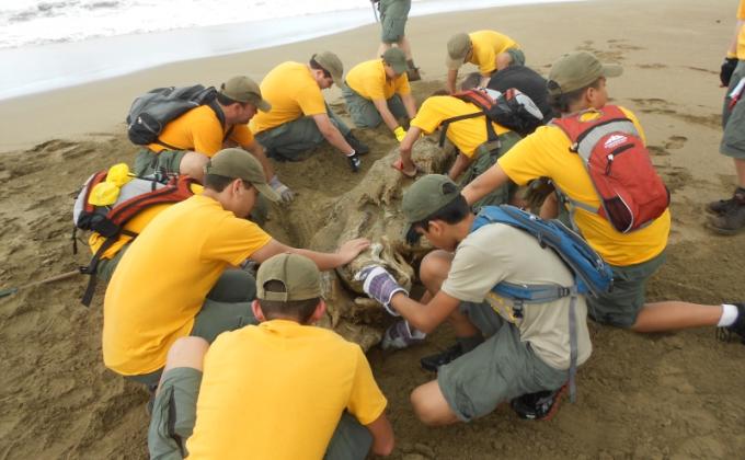 Primera Limpieza Playa El Unico