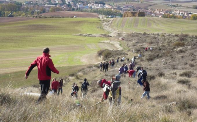 "Proyecto Terruño". Si supiera que el mundo se acaba mañana, yo, hoy todavía, plantaría un árbol.