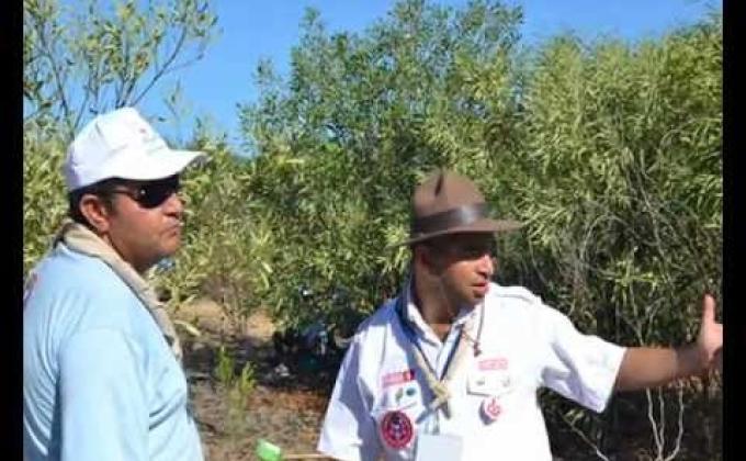 We plant a greener Tunisia