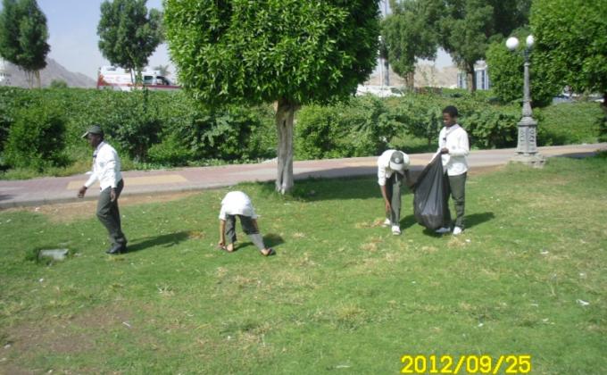 حماية البيئة 