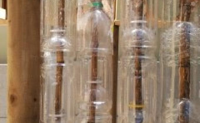 Creando un Invernadero con Botellas Plásticas