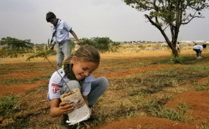 Planting one hundred thousand seedlings of fruit trees in the Park