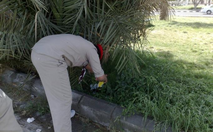 حماية البيئة