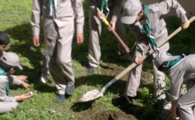 المشروع الكشفي لحماية البيئة