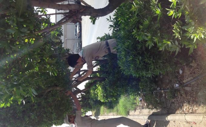 مشاركه كشافه الامام مالك الثانويه في مشروع البئه