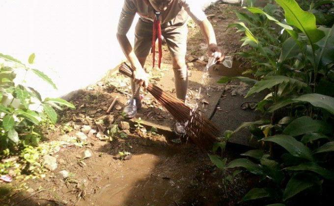 Anti Dengue and Malaria Project