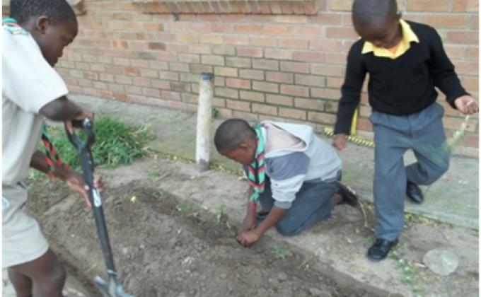 Siyanakekela “We care” 