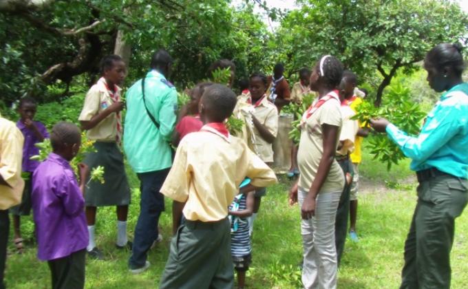  Excursion and History